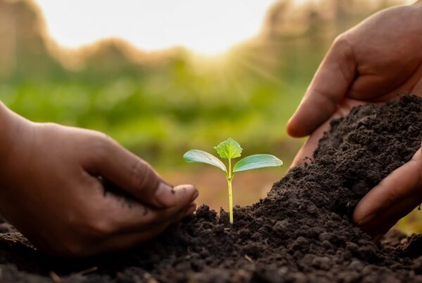 Beyond Insurance/ Nurturing Faith and Enriching Lives - Two People Planting A Seedling